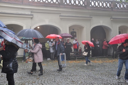 Pielgrzymka hodowców gołębi i orkiestr kalwaryjskich
