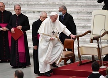 Papież Franciszek podczas audiencji