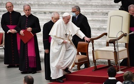 Papież Franciszek podczas audiencji