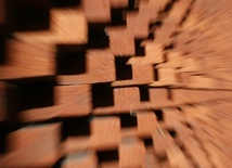 Wierność do końca