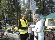 Kwesty prowadzone były m.in. na największych katowickich nekropoliach, w Bogucicach, Murckach czy Panewnikach.