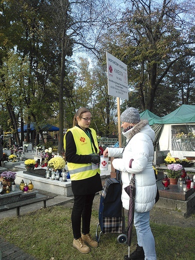 Kwesty prowadzone były m.in. na największych katowickich nekropoliach, w Bogucicach, Murckach czy Panewnikach.