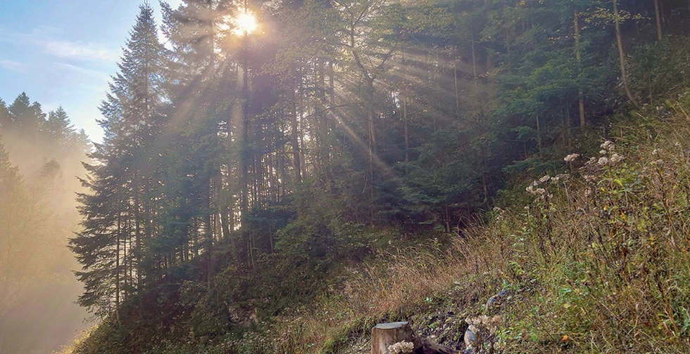 Pieniny: kraina światła,  które pokonuje mgłę.