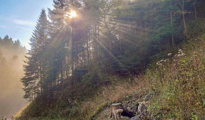 Pieniny: kraina światła,  które pokonuje mgłę.