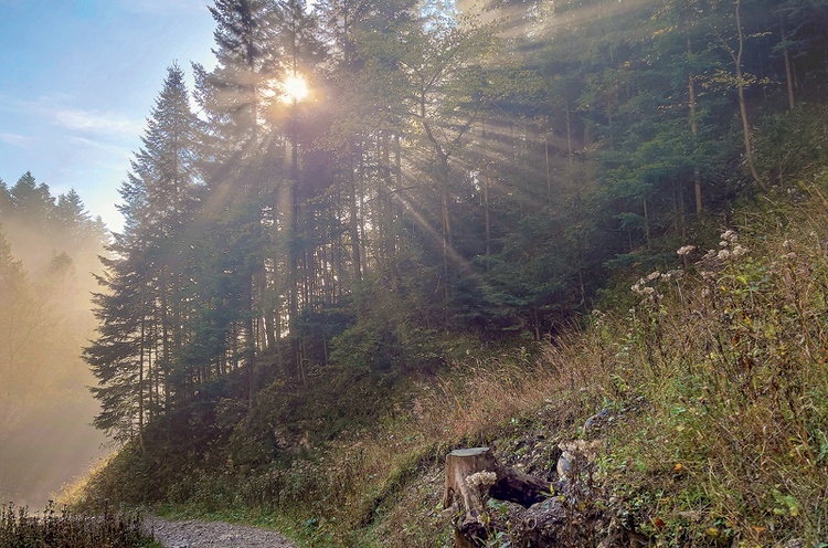 Pieniny: kraina światła,  które pokonuje mgłę.