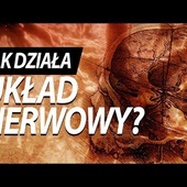 Skąd biorą się zszargane nerwy?