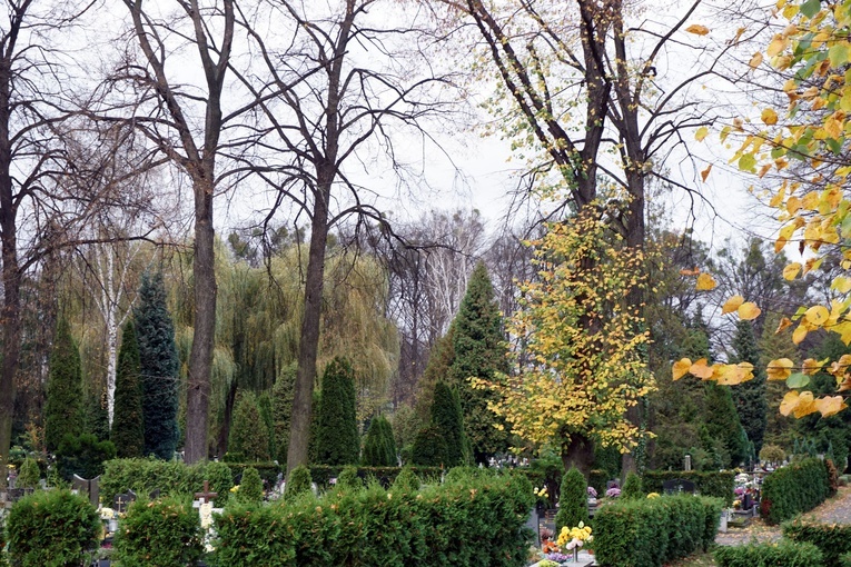 Zamknięty cmentarz Centralny