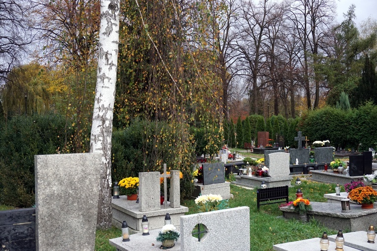 Zamknięty cmentarz Centralny