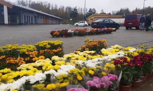 Śląskie. Pomoc dla sprzedawców kwiatów ze strony samorządów i mieszkańców