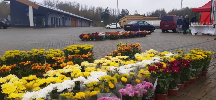 Śląskie. Pomoc dla sprzedawców kwiatów ze strony samorządów i mieszkańców