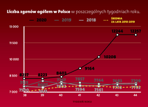 60-proc. wzrost ogólnej liczby zgonów między 19 października a 1 listopada w Polsce