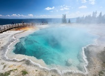 Mężczyzna, który próbował ugotować kurczaki w gorących źródłach w Yellowstone, zostanie ukarany