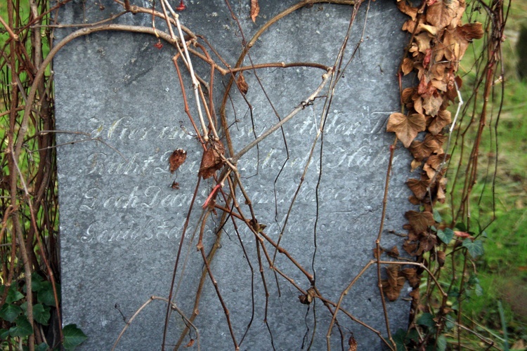 Cmentarz żydowski w Opolu