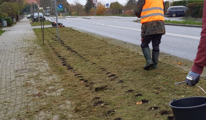 Ulica Żonkilowa. Niecodzienna akcja na rzecz darłowskiego hospicjum