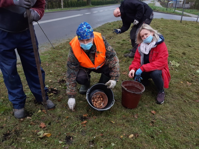 Nietypowe "Pola Nadziei" w Darłowie