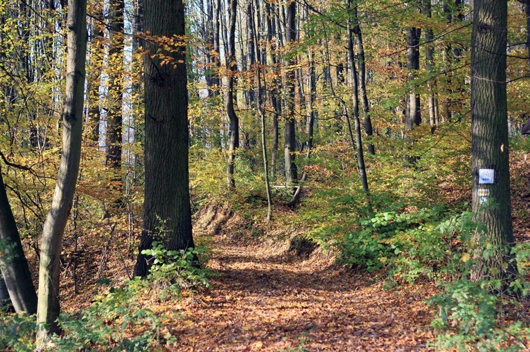 Czarnocin: Szwajcaria Śląska