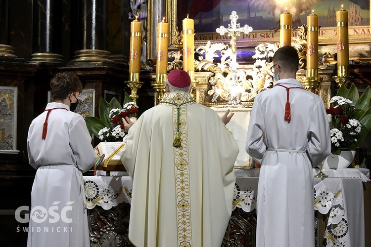 Uroczystość 102. rocznicy odzyskania niepodległości w Świdnicy