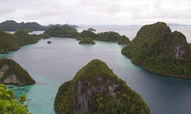 Papua Zachodnia: łamanie praw ludów tubylczych 