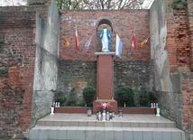 Lubińskie obchody