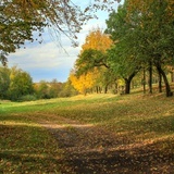 Wokół jedynego w Polsce kościoła św. Brykcjusza