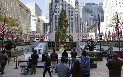 Świąteczna choinka już w nowojorskim Rockefeller Center