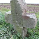 Świadkowie historii