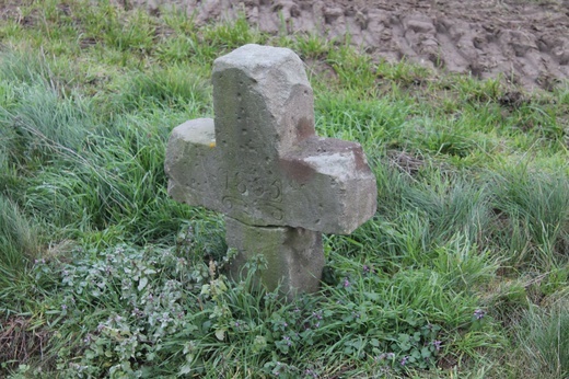 Świadkowie historii