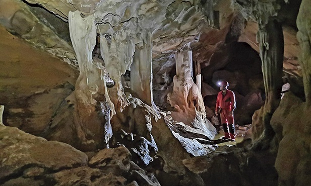  W jaskini Manguruba na Madagaskarze