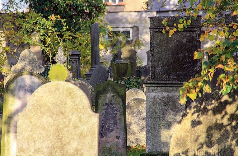 Część cmentarza żydowskiego w Opolu.