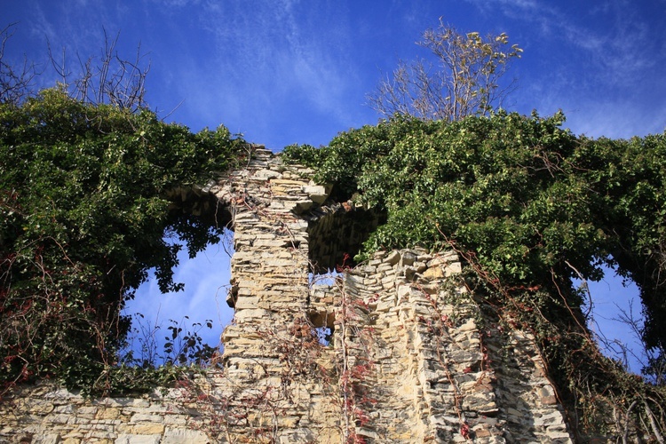 Tempelberg. Śladami legend o templariuszach