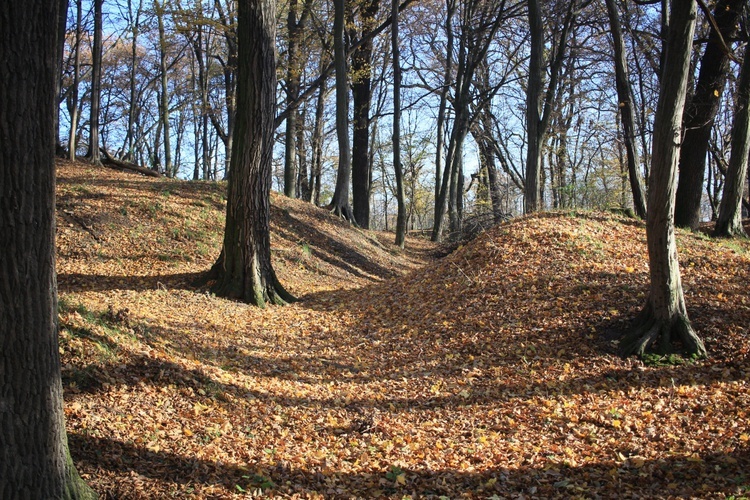 Tempelberg. Śladami legend o templariuszach