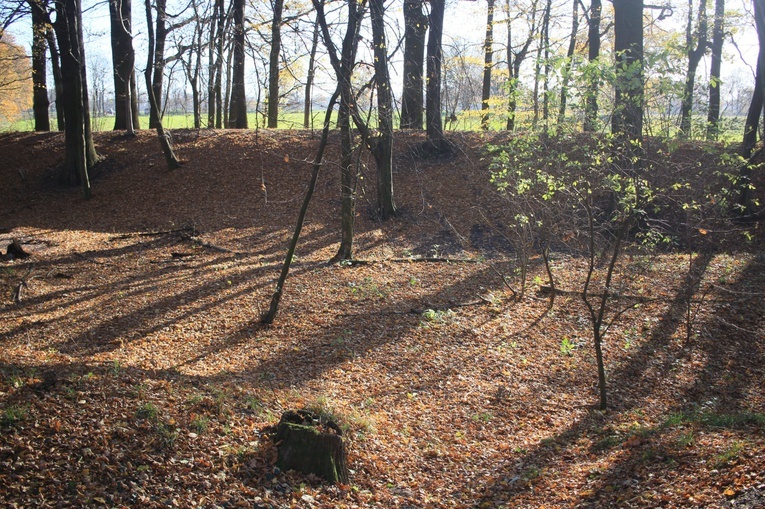 Tempelberg. Śladami legend o templariuszach