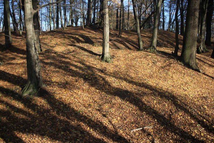 Tempelberg. Śladami legend o templariuszach