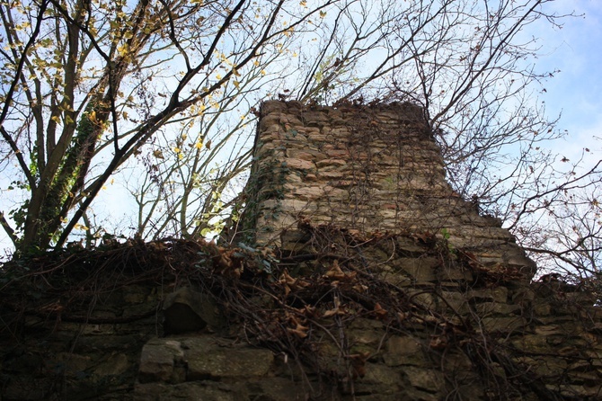 Tempelberg. Śladami legend o templariuszach