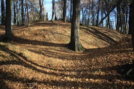 Śladami legend o templariuszach