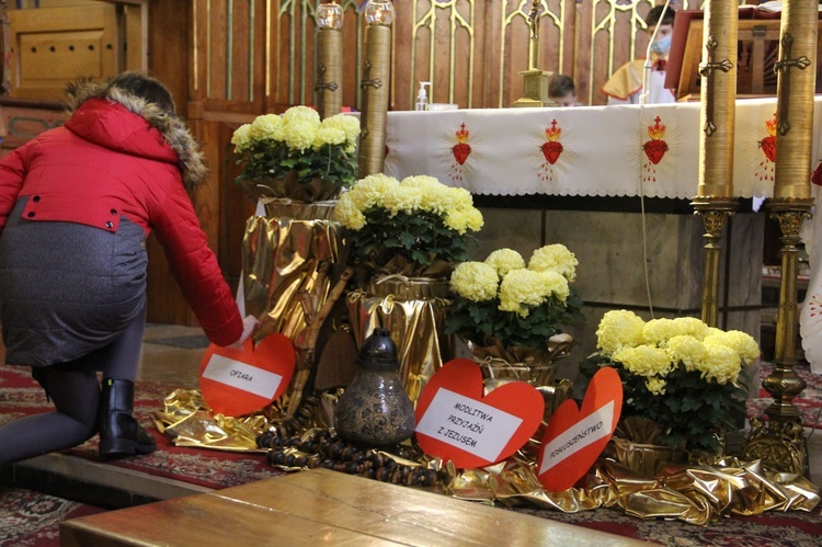 Brzeźnica k. Dębicy. Przyjęcie do DSM