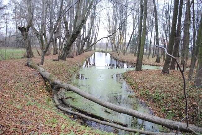 Dwór w Bielinach