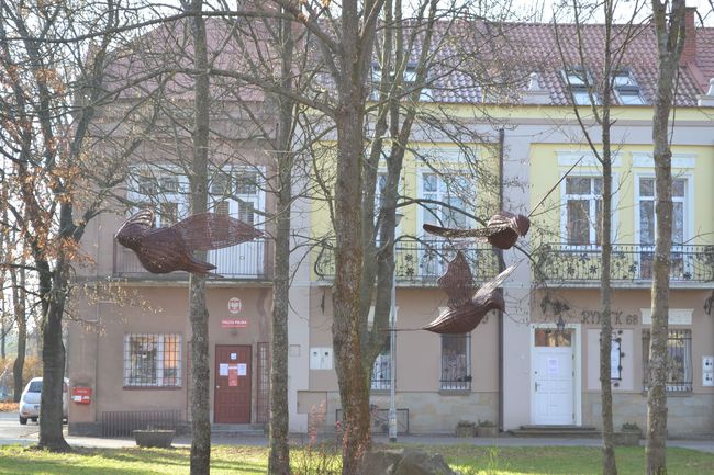 Rudnik nad Sanem. Wiklinowe ptaki nad miastem