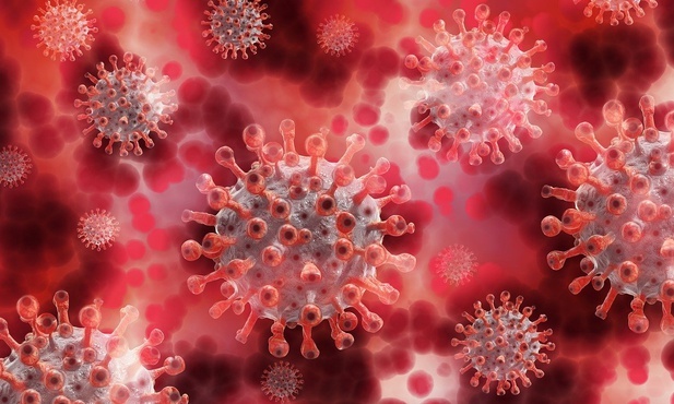 MZ: Pozyskanie osocza ozdrowieńców zagadnieniem krytycznym w obronie przed rosnącą liczbą zgonów