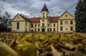 Tarnobrzeg. Radni za zakupem kolekcji dzikowskiej