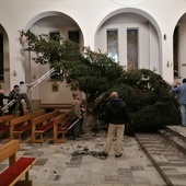 Akcja "choinka" w Łąkcie