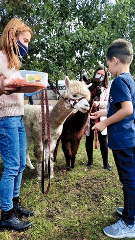 ▲	Święto Stworzenia przy kościele na Bemowie. 