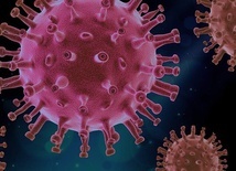 CDC: Koronawirus był w USA już w połowie grudnia 2019 roku
