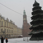 Zimowy Wrocław