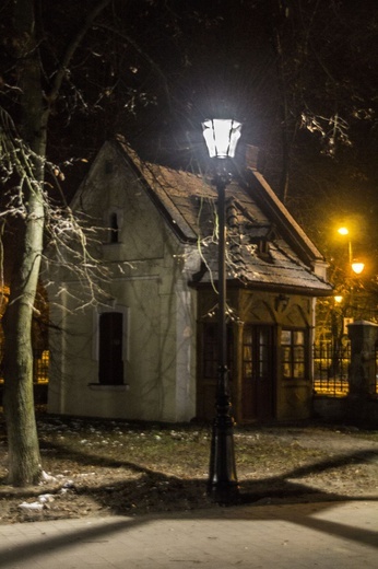 Nowe oświetlenie w parku dzikowskim