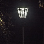 Nowe oświetlenie w parku dzikowskim