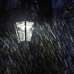 Nowe oświetlenie w parku dzikowskim