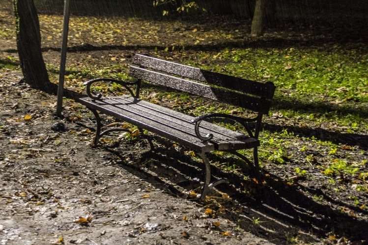 Nowe oświetlenie w parku dzikowskim