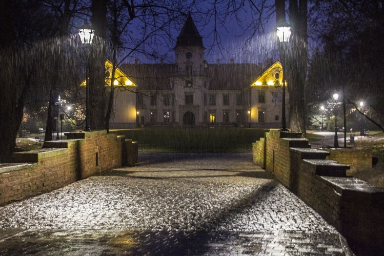 Nowe oświetlenie w parku dzikowskim