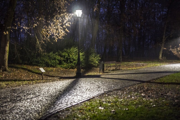 Nowe oświetlenie w parku dzikowskim